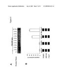 HIP1 cancer markers diagram and image