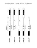 HIP1 cancer markers diagram and image