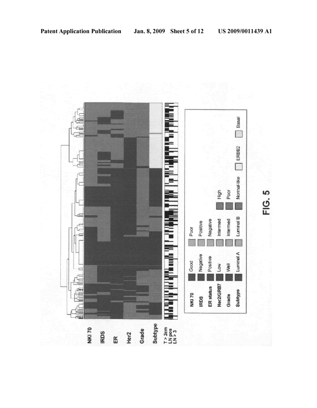 Prognosis and Therapy Predictive Markers and Methods of Use - diagram, schematic, and image 06