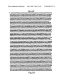 Engineered plasmids and their use for in situ production of genes diagram and image