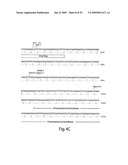 Engineered plasmids and their use for in situ production of genes diagram and image