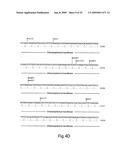 Engineered plasmids and their use for in situ production of genes diagram and image