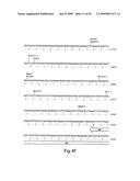 Engineered plasmids and their use for in situ production of genes diagram and image