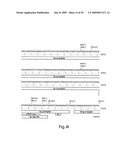 Engineered plasmids and their use for in situ production of genes diagram and image