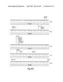 Engineered plasmids and their use for in situ production of genes diagram and image