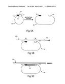 Engineered plasmids and their use for in situ production of genes diagram and image