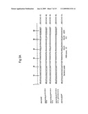 Device and method for biolistic transformation of cells diagram and image