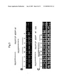 Device and method for biolistic transformation of cells diagram and image