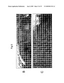 Device and method for biolistic transformation of cells diagram and image