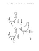 Dna Crosslinking for Primer Extension Assays diagram and image