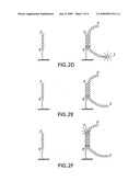 Dna Crosslinking for Primer Extension Assays diagram and image