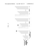 METHOD AND APPARATUS FOR CONTROLLING POWER FOR TRANSMISSION OF A PREAMBLE IN A MOBILE COMMUNICATION SYSTEM diagram and image