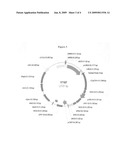 Cytochrome P450 genes conferring herbicide resistance diagram and image