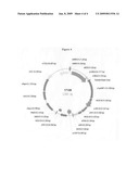 Cytochrome P450 genes conferring herbicide resistance diagram and image