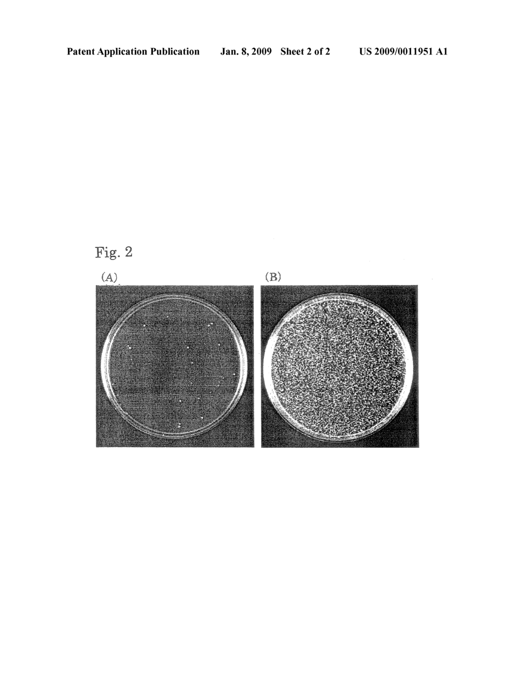 Method of Gene Screening With Yeast Having Ergosterol Synthase Undergoing Inducible Expression - diagram, schematic, and image 03