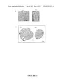 Methods and Compositions Related to TR4 diagram and image