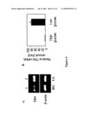 Methods and Compositions Related to TR4 diagram and image