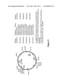 Methods and Compositions Related to TR4 diagram and image