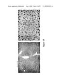 Methods and Compositions Related to TR4 diagram and image