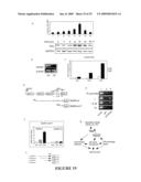 Methods and Compositions Related to TR4 diagram and image