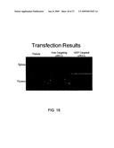 Methods and Compositions for Treatment of Sepsis diagram and image