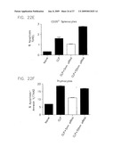 Methods and Compositions for Treatment of Sepsis diagram and image