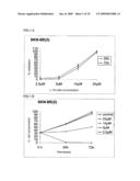 Use of Non-Peptidic Nk1 Receptor Antagonists for the Production of Apoptosis in Tumor Cells diagram and image