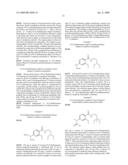 Radiohalogenated Benzamide Derivatives And Their Use In Tumor Diagnosis And Tumor Therapy diagram and image