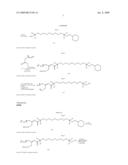 Carnitine Conjugates As Dual Prodrugs, Methods Of Production And Uses Thereof diagram and image