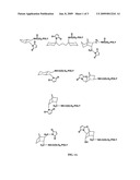 Hydrolytically stable maleimide-terminated polymers diagram and image