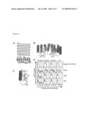 NOVEL MONOCLONAL THYROID STIMULATING OR BLOCKING ANTIBODIES, PEPTIDE SEQUENCES CORRESPONDING TO THEIR VARIABLE REGIONS, AND THEIR USES IN DIAGNOSTIC, PREVENTIVE AND THERAPEUTIC MEDICINE diagram and image