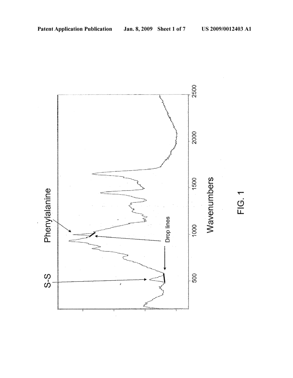 METHOD FOR DETERMINATION OF BONE FRACTURE RISK USING RAMAN SPECTROSCOPY - diagram, schematic, and image 02