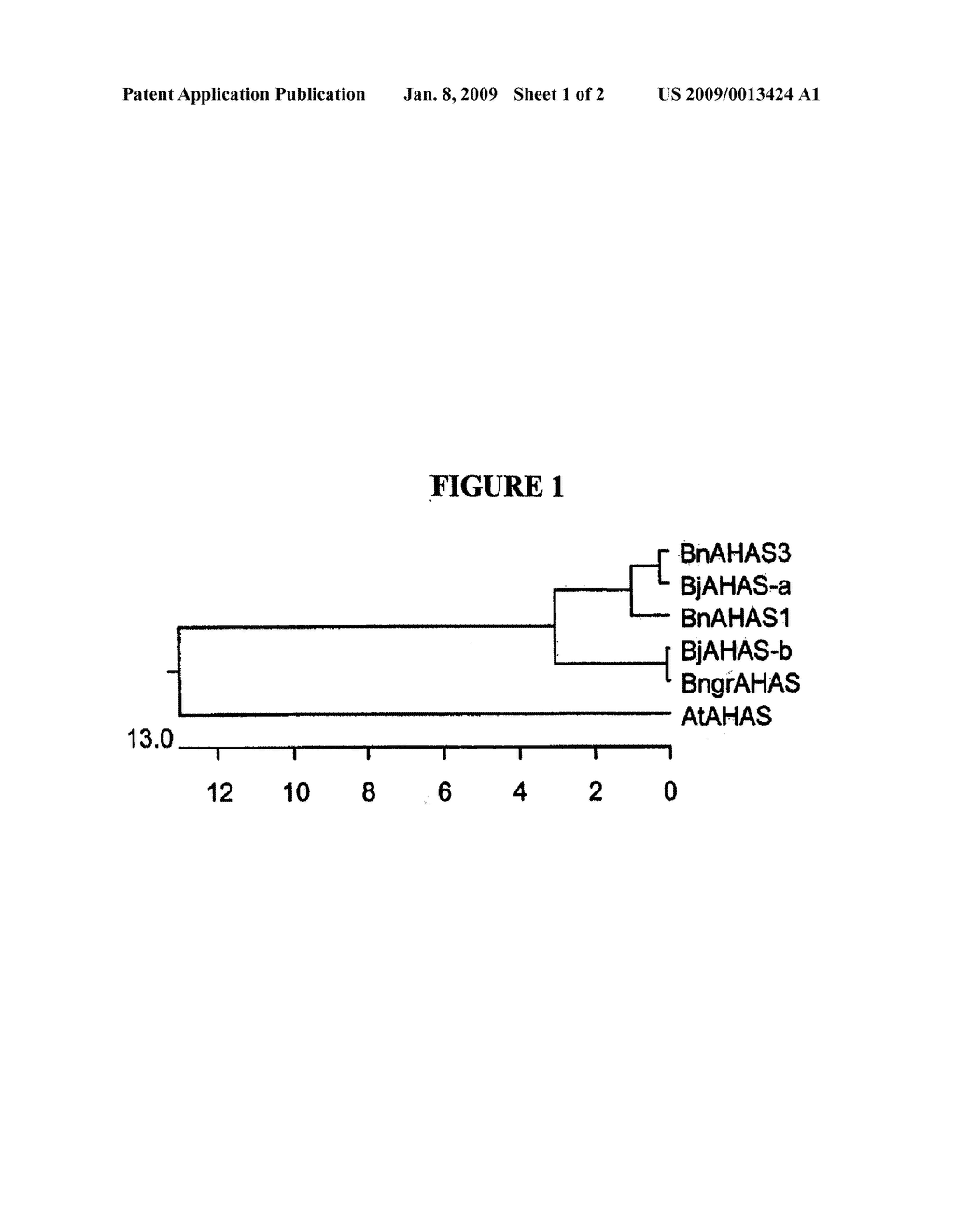 BRASSICA AHAS GENES AND GENE ALLELES THAT PROVIDE RESISTANCE TO IMIDAZOLINONE HERBICIDES - diagram, schematic, and image 02