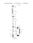 Methods and Means Relating to Photopolymer Printing Plates diagram and image