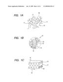 Structure, porous body, sensor, process of structure and detecting mehod for specimen diagram and image