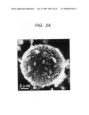 Structure, porous body, sensor, process of structure and detecting mehod for specimen diagram and image