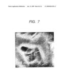 Structure, porous body, sensor, process of structure and detecting mehod for specimen diagram and image