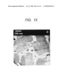 Structure, porous body, sensor, process of structure and detecting mehod for specimen diagram and image