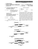 CAPACITORS COMPRISING ORGANIZED ASSEMBLIES OF CARBON AND NON-CARBON COMPOUNDS diagram and image