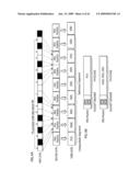 RECORDING MEDIUM, RECORDING METHOD, REPRODUCTION APPARATUS AND METHOD, AND COMPUTER-READABLE PROGRAM diagram and image