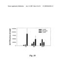 Labeled Macrophages and Methods of Use Thereof diagram and image