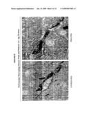 Delivery of Therapeutic Compounds to the Brain and Other Tissues diagram and image