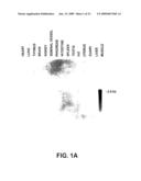 Polynucleotides Encoding Growth Differentiation Factor-8 diagram and image