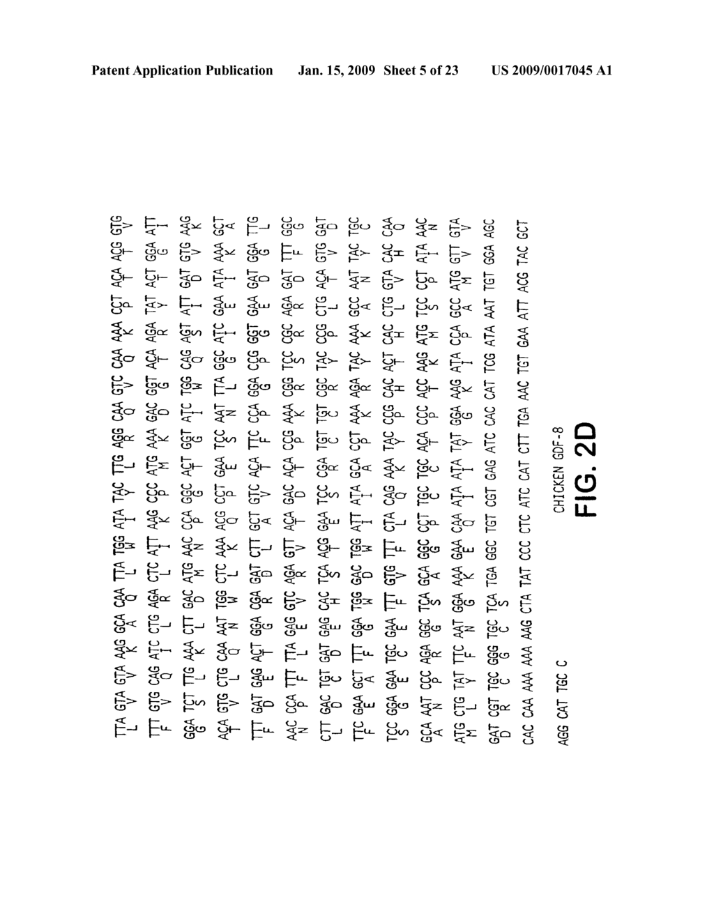 Polynucleotides Encoding Growth Differentiation Factor-8 - diagram, schematic, and image 06