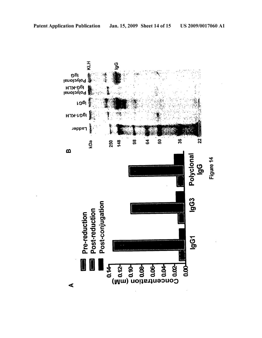 Cleavable Vaccine Compositions and Uses Thereof and Methods of Making and Using the Same - diagram, schematic, and image 15