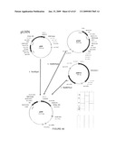 Vectors and cells for preparing immunoprotective compositions derived from transgenic plants diagram and image