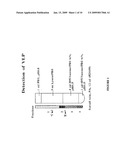 NOVEL VLPS DERIVED FROM CELLS THAT DO NOT EXPRESS A VIRAL MATRIX OR CORE PROTEIN diagram and image