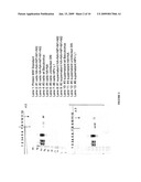 NOVEL VLPS DERIVED FROM CELLS THAT DO NOT EXPRESS A VIRAL MATRIX OR CORE PROTEIN diagram and image