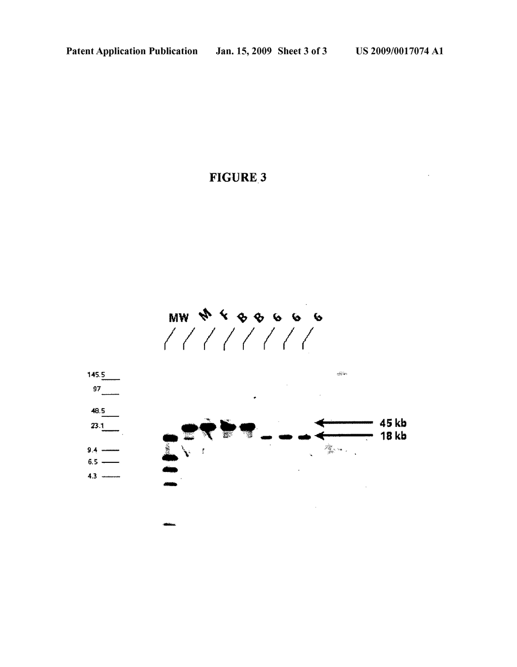 CULTURE MEDIUM FOR HAEMOPHILUS INFLUENZAE TYPE B - diagram, schematic, and image 04