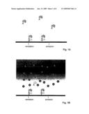 SEPARATION-FREE ASSAY METHOD diagram and image